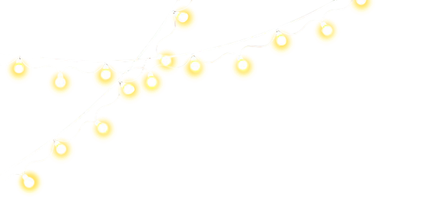 Diwali LED lights